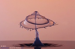 IMG_24368